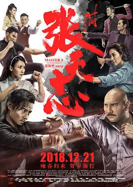 叶问外传：张天志 (2018)